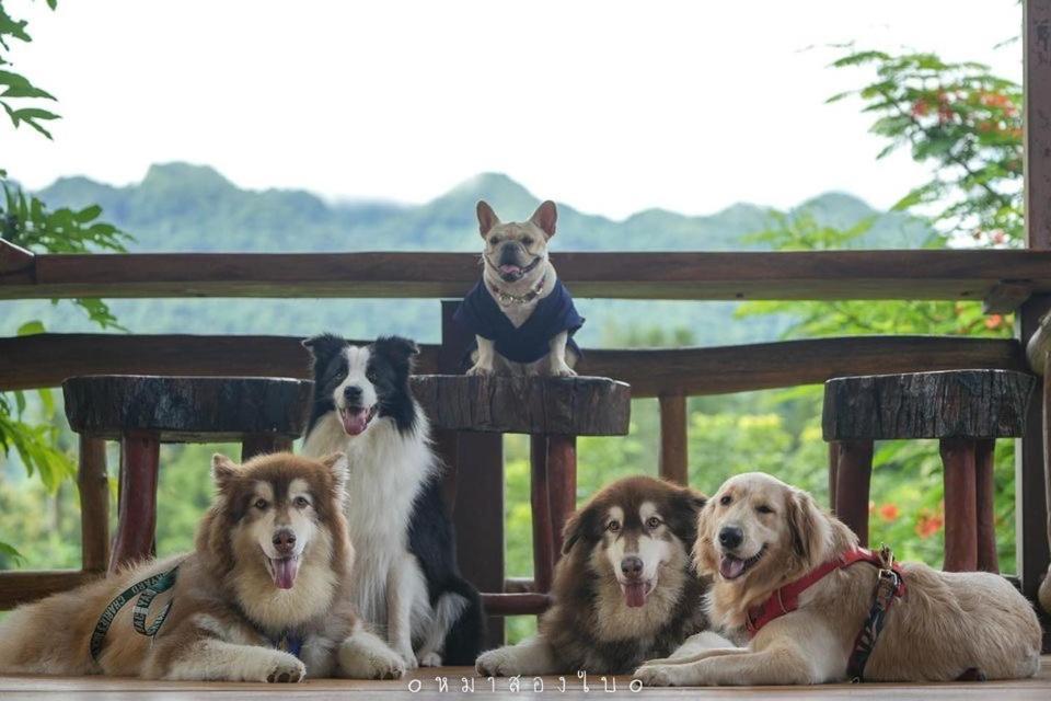 Baanrai Khunya บ้านไร่คุณย่า Сайок Экстерьер фото