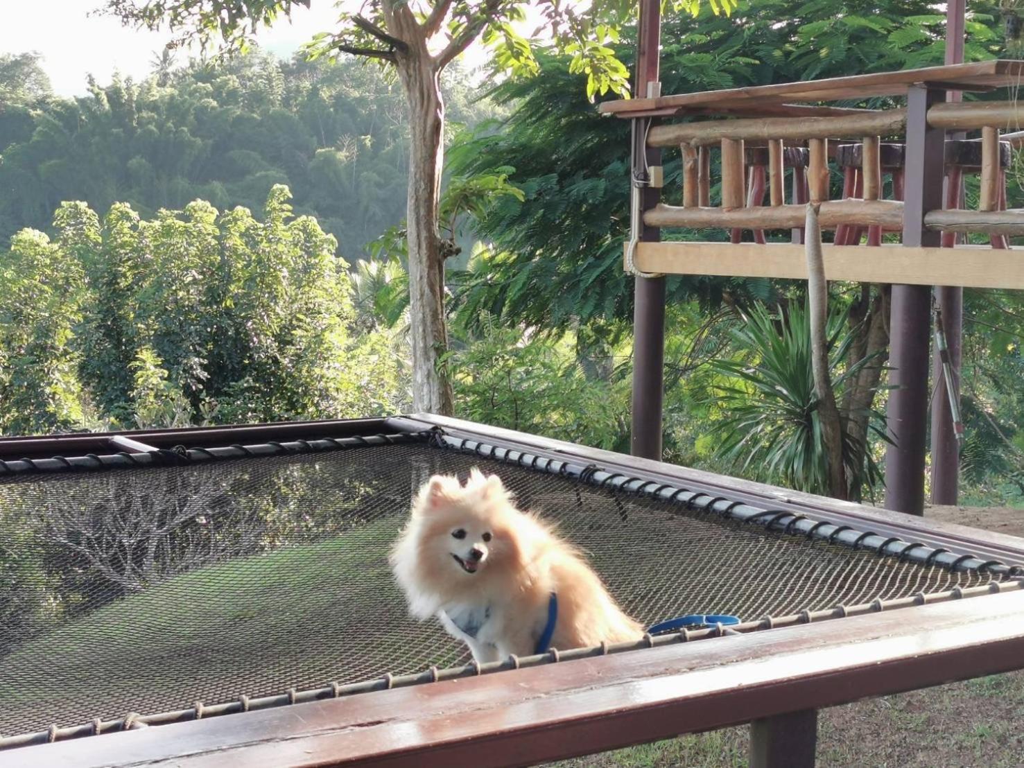 Baanrai Khunya บ้านไร่คุณย่า Сайок Экстерьер фото